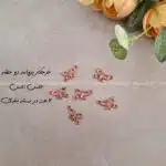 خرجکار مسی پروانه دو حلقه 6 عددی