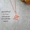 زیرساخت گردنبند آبکاری پروانه
