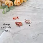 بچ سینه آبکاری (نانو) مدل اژدر