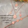 زیرساخت سرویس مسی آبکاری(نانو) تاج بانو
