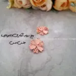 زیرساخت بچ سینه مسی آبکاری(نانو) الیسا